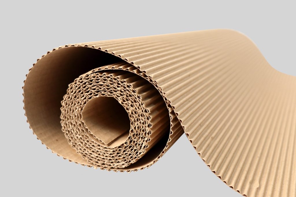 CARTON CORRUGADO